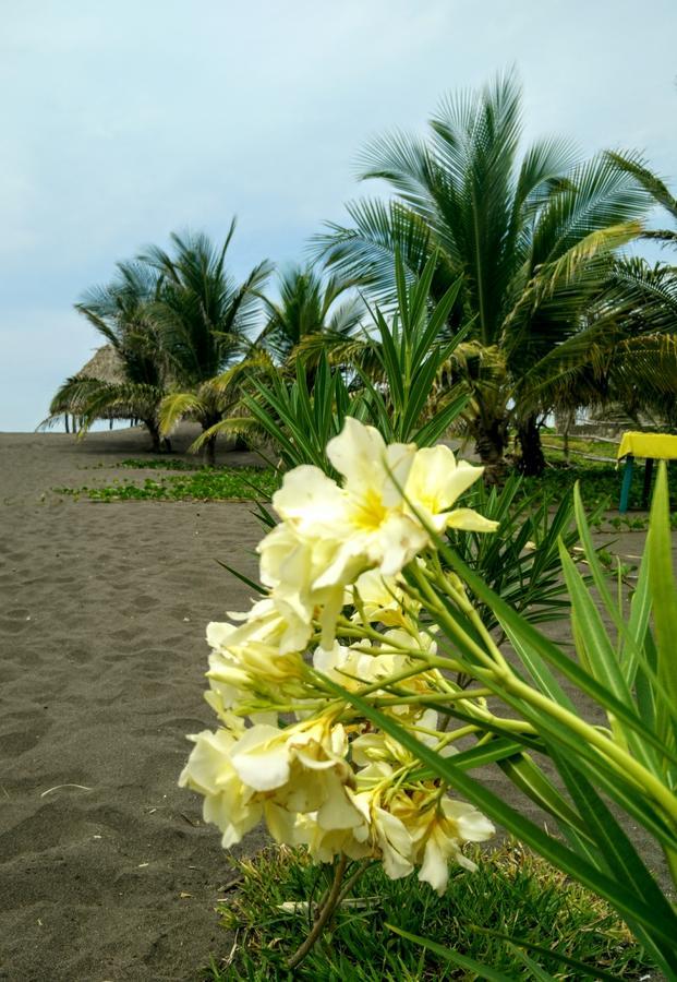Eco-Hotel Playa Quilombo Las Lisas Εξωτερικό φωτογραφία